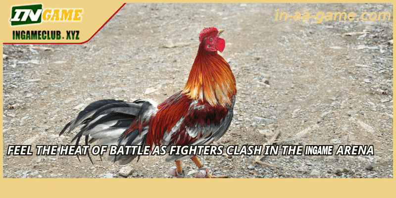 Feel the heat of battle as fighters clash in the AAGAME arena