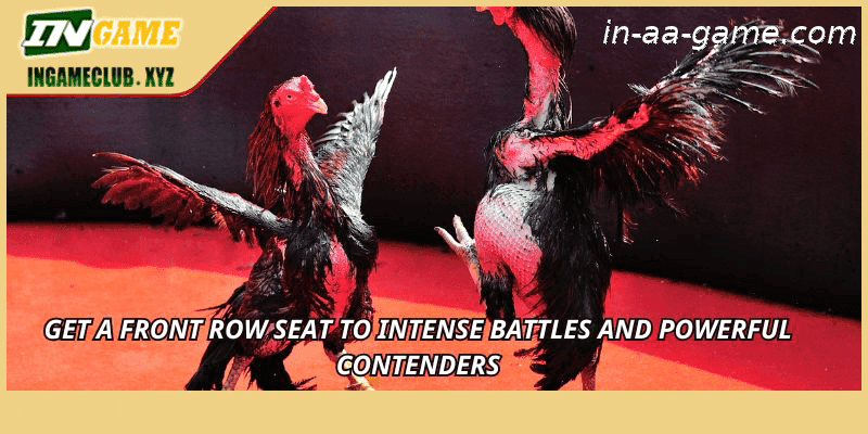 Get a front row seat to intense battles and powerful contenders